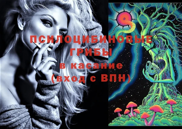 сатива Абдулино