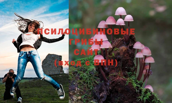 гашик Абинск