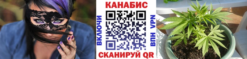 Бошки марихуана тримм  OMG ССЫЛКА  Подпорожье 